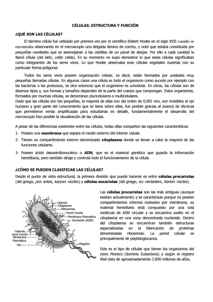 Página 1 del tema B02