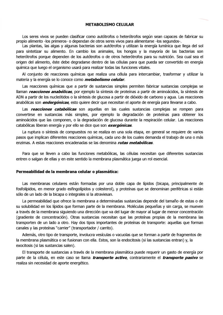 Página 1 del tema B03