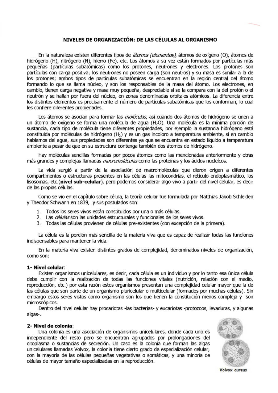 Página 1 del tema B05