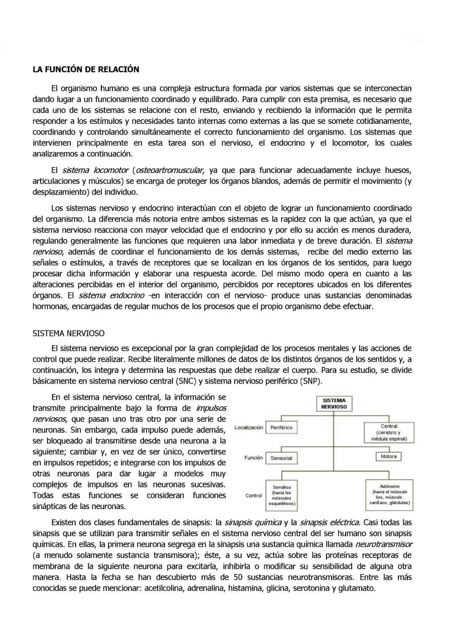 Página 1 del tema B11